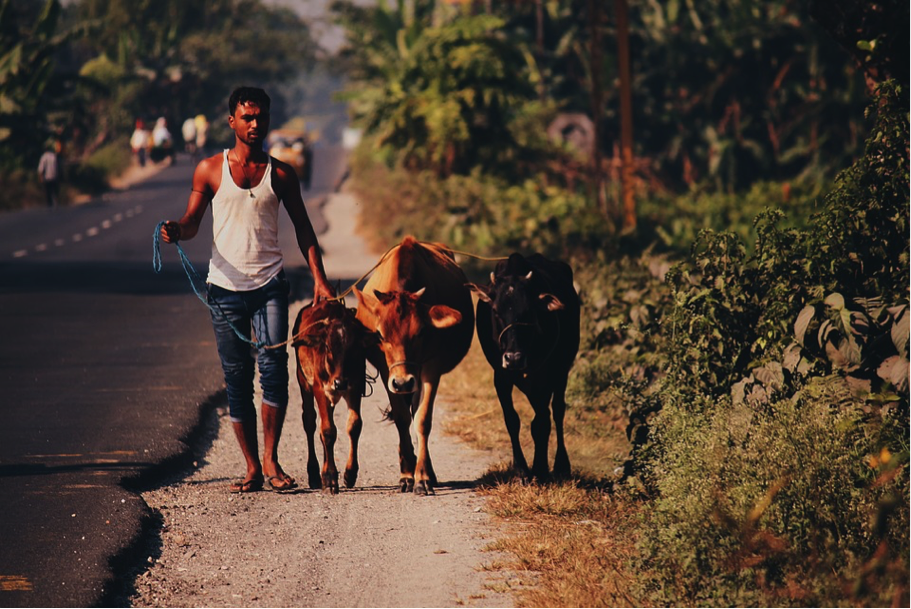 Armoede in India onder de loep