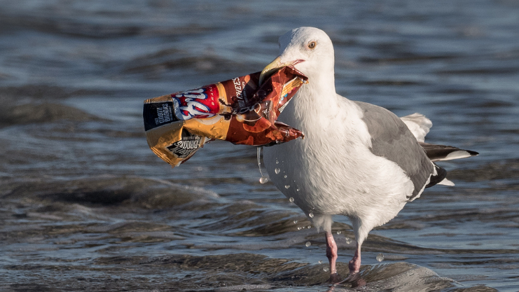 Bedwing de liefde voor plastic