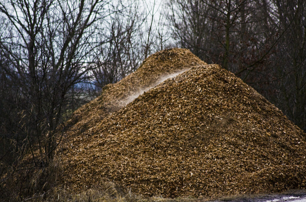 Jaarlijks worden miljoenen bomen gekapt om kleding te maken