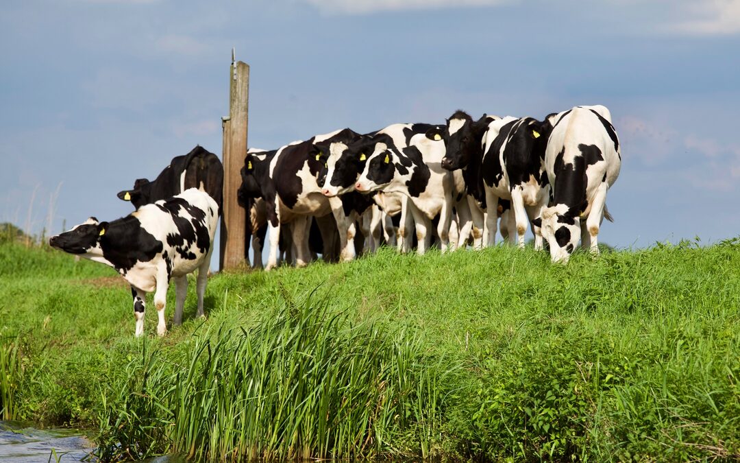 Circulaire landbouw heeft de toekomst