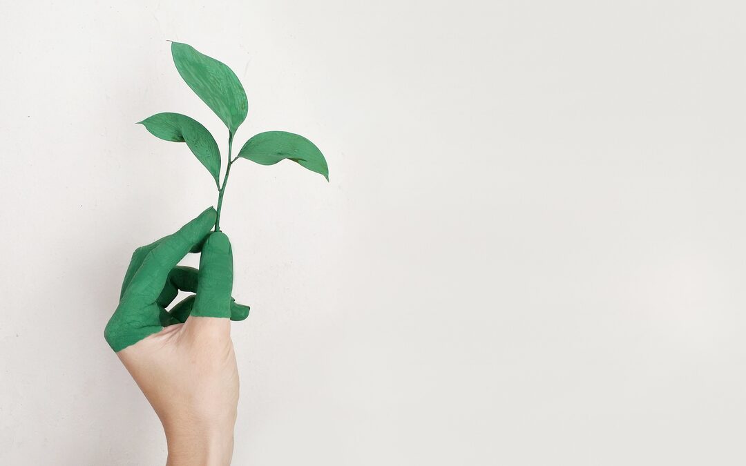 Te veel obstakels voor duurzaam investeren? Onzin