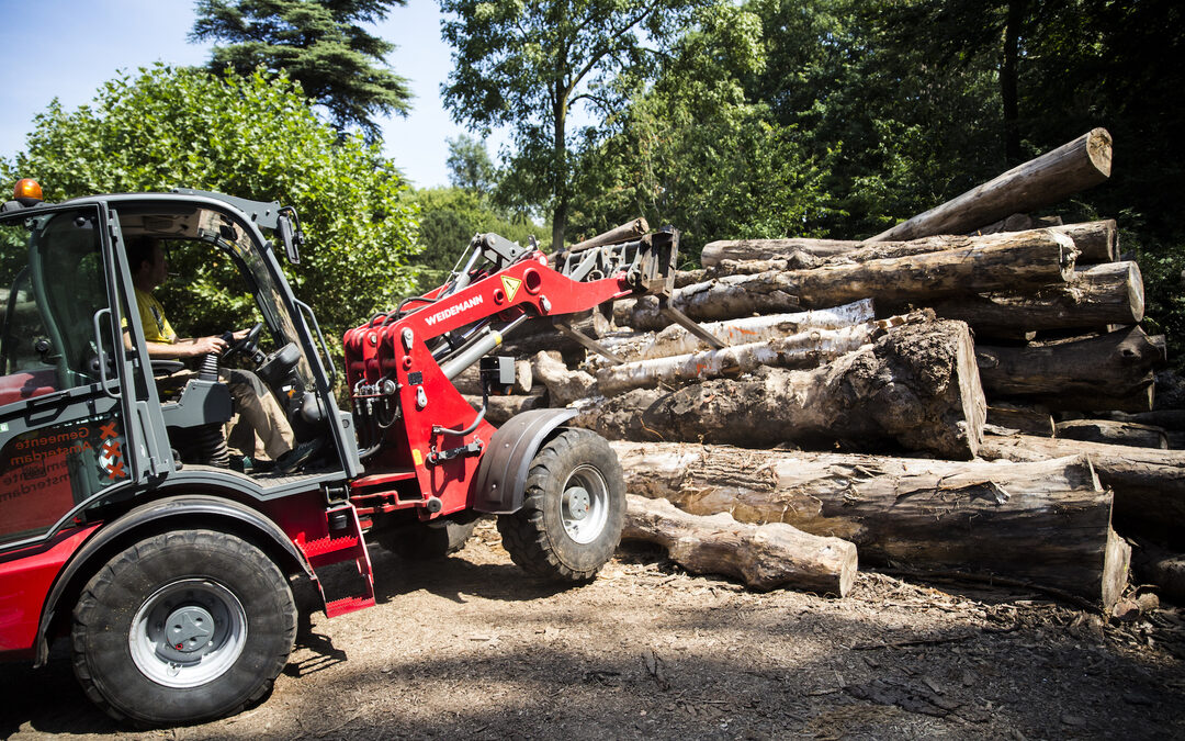 Van boom naar bankje: Amsterdams hout wordt circulair