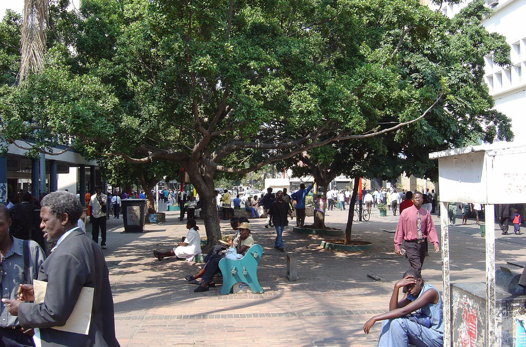 De mannen in Zimbabwe die voor vrouwenrechten strijden