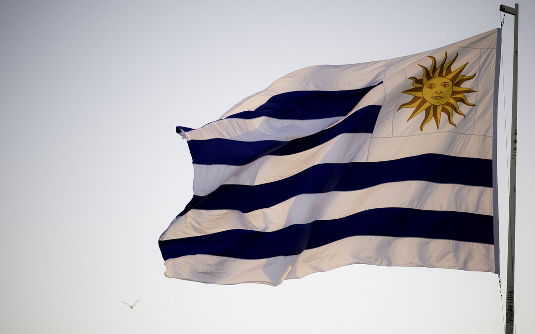 Nieuwe ‘transgenderwet’ Uruguay lokt ook haatreacties uit