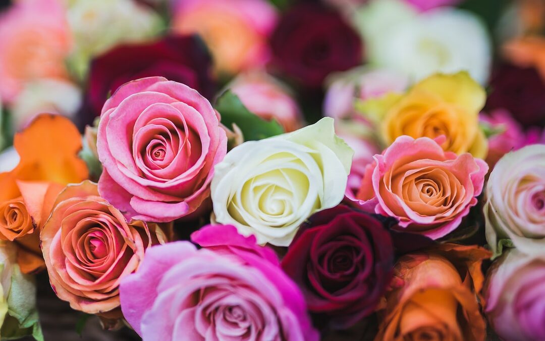 Is een bosje rozen wel zo’n goed cadeau?