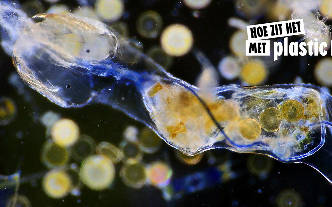 Wij leven in een micro-plasticsoep, is dat erg?