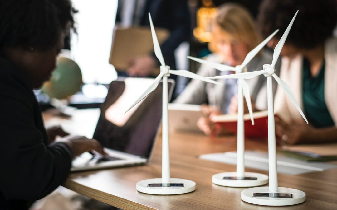 Zeg maar dag tegen de energietransitie