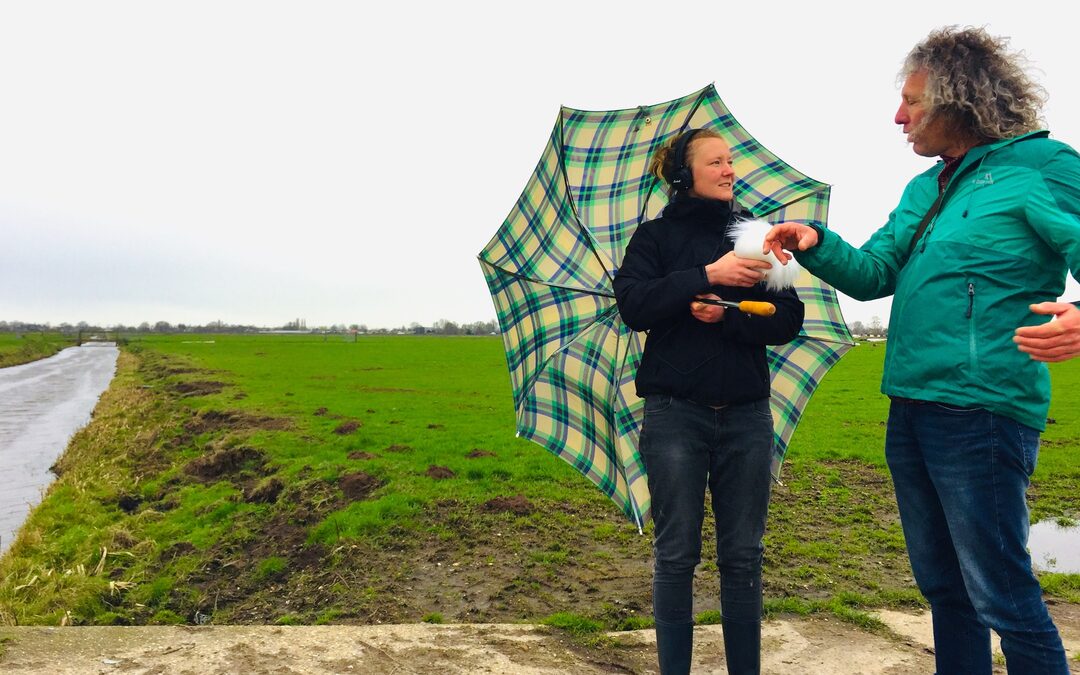 In de Hollandse polders liggen verhalen verborgen