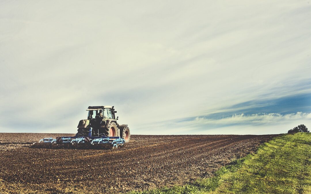 De boer zit klem. Een nieuw verdienmodel is de enige uitweg