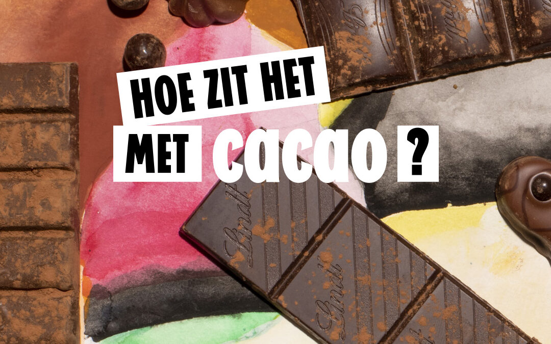 Zijn al die keurmerken er voor de cacaoboer of voor jouw schuldgevoel?