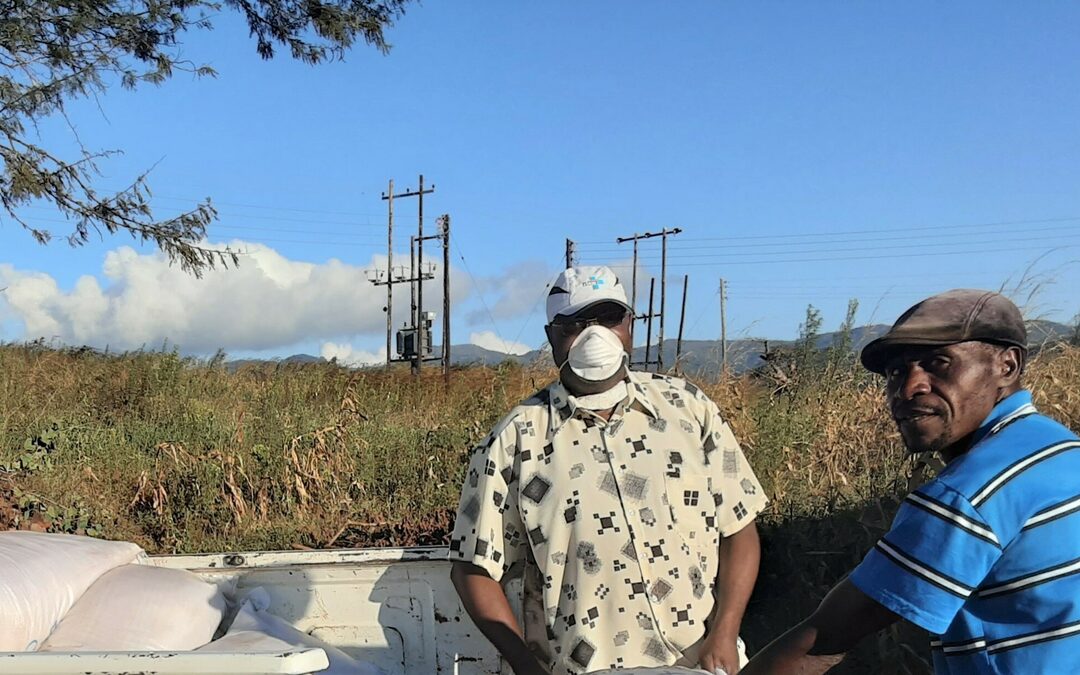 Corona-maatregelen? Eerst de droogte aanpakken, zeggen Zimbabwaanse boeren