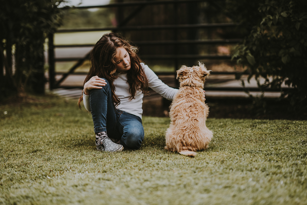 De beste wandelroutes voor jou en je hond