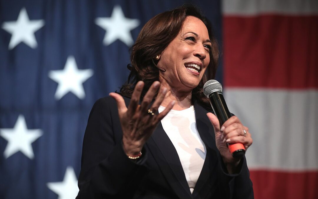 ‘Kamala Harris is niet de eerste geschikte zwarte vrouw’