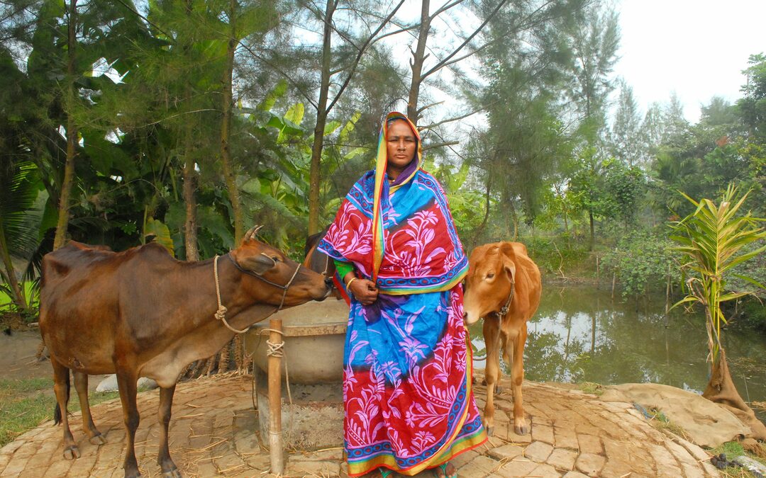 Bangladesh leert Nederland omgaan met klimaatrampen