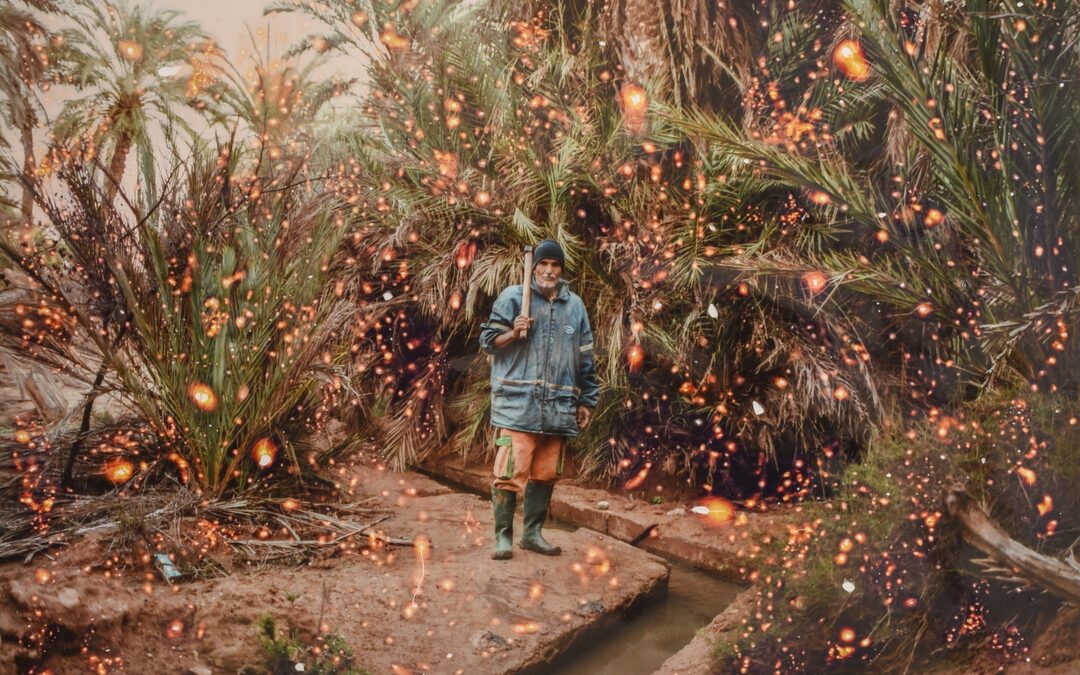 Fotograaf Seif Kousmate toont de echte oase (en niet het koloniale stereotype)