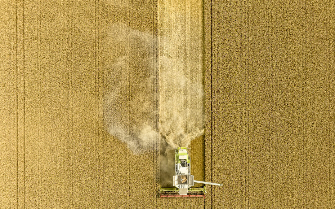 Trekt de natuur bij droogte aan het kortste eind?