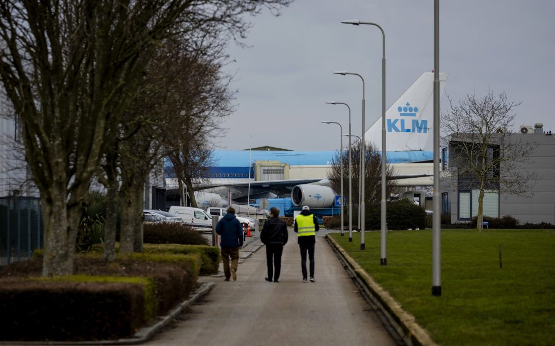 ‘Vliegverkeer niet schadelijk voor de natuur’: hoe komen adviesbureaus daarbij?