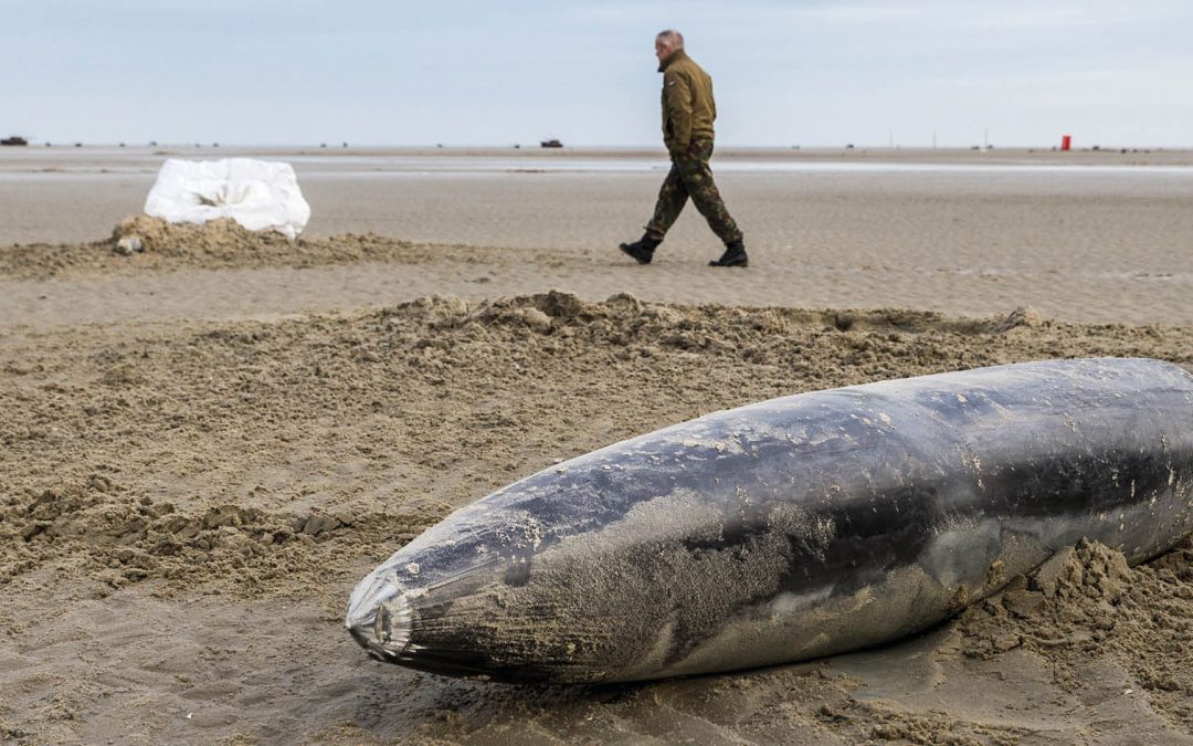 Waarom mag Defensie bommen gooien op beschermde natuur?